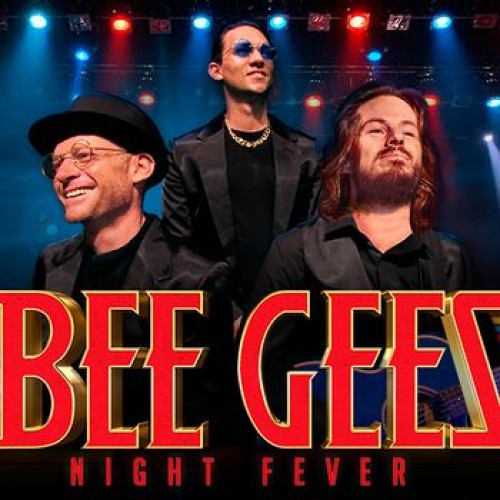 The Bee Gees Night Fever photo