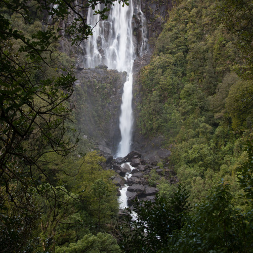 Wairere Falls photo