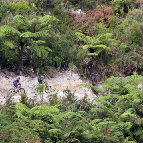 Parihaka Mountain Biking Park photo