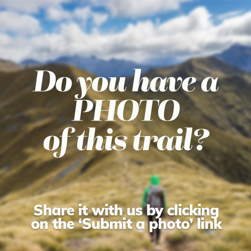 Morrinsville River Walk photo