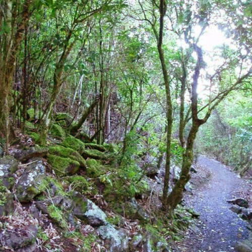 Waimahanga Walkway photo